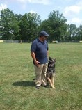 Andre Aportela, left, commands Cliff the German Shepherd to give him his full attention. / Pamela MacKenzie/staff photo